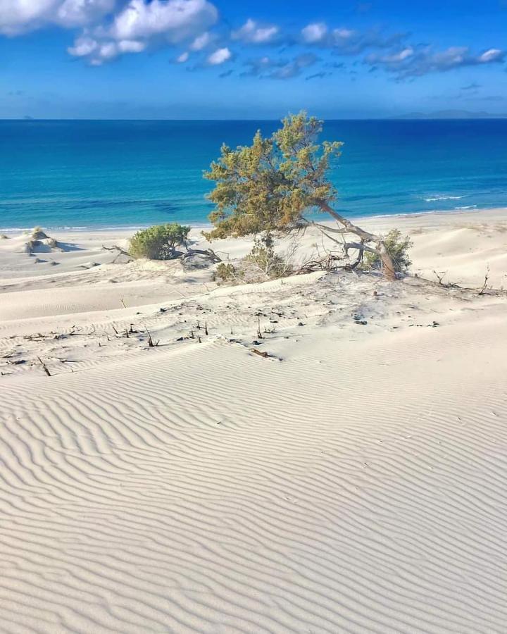 Case Vacanze Il Sogno 2 Porto Pino Luaran gambar