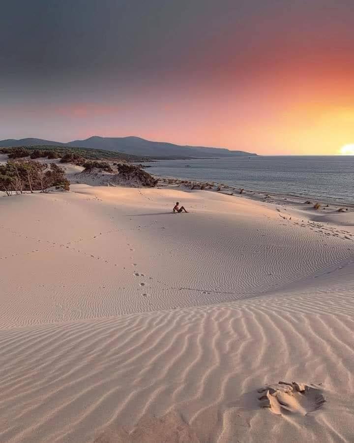 Case Vacanze Il Sogno 2 Porto Pino Bilik gambar